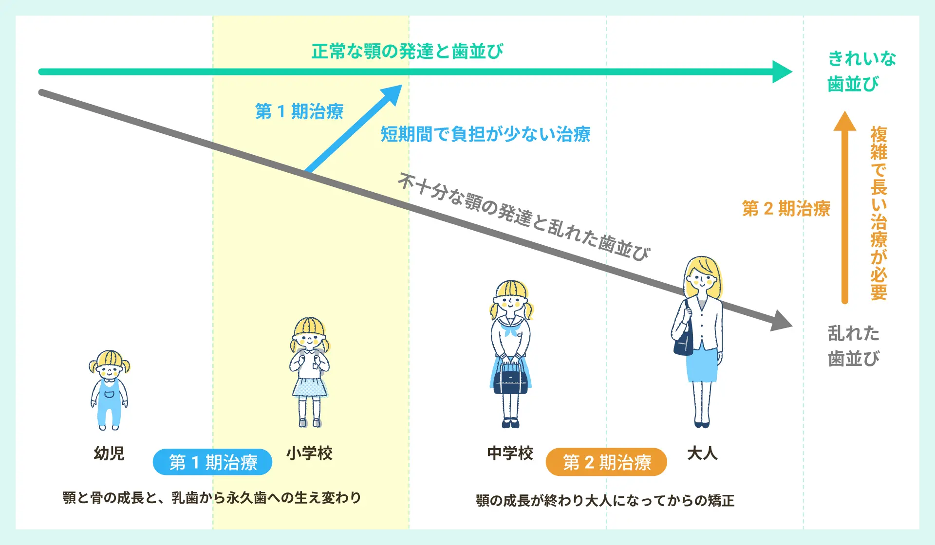 年齢による歯並びの変化図
